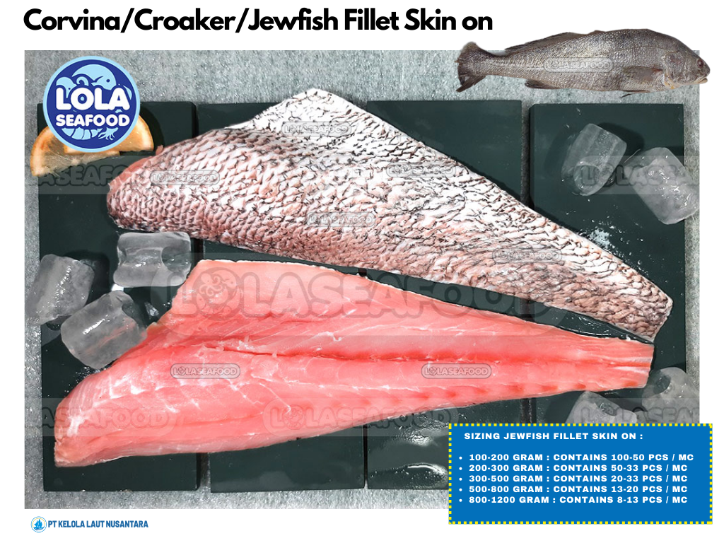 Corvina / Croaker / Jewfish Fillet Skin On